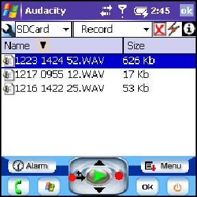 Audacity DVR - Person 