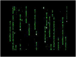 Matrix Screensaver 5.0