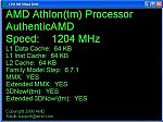 AMD CPU Information 